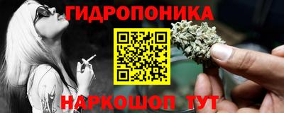 прущие крисы Ипатово