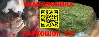 прущие крисы Ипатово