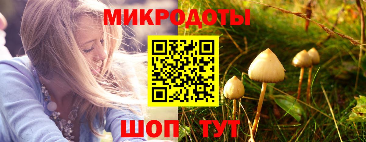 Галлюциногенные грибы Magic Shrooms  наркошоп  Краснознаменск  Вход с VPN 